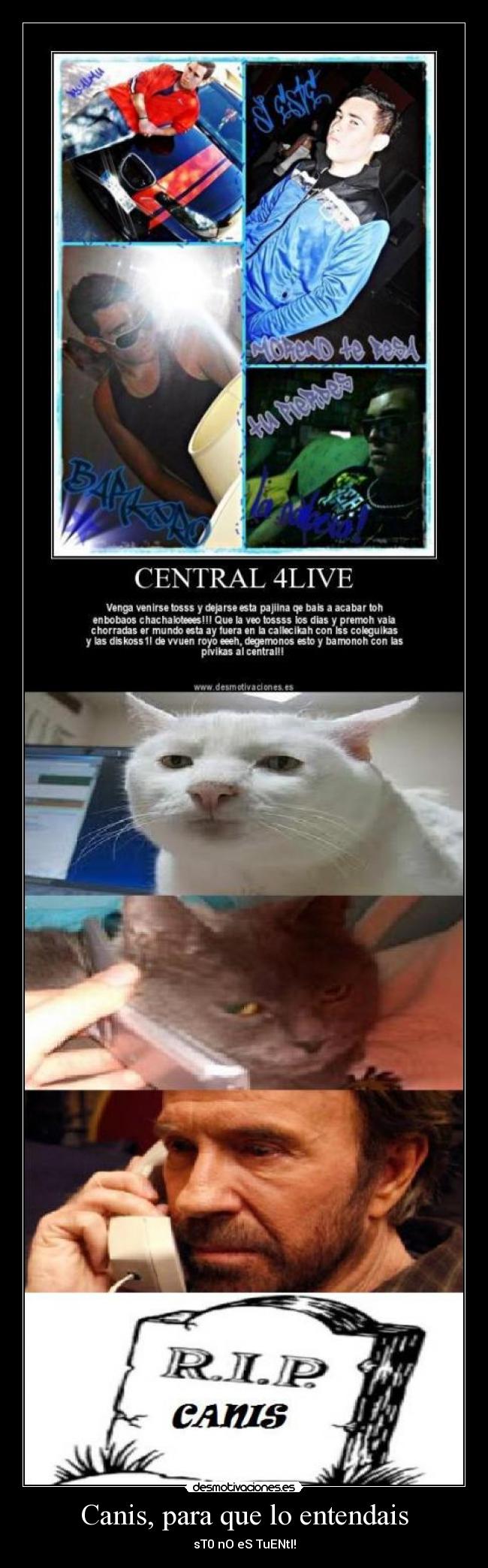 Canis, para que lo entendais - sT0 nO eS TuENtI!