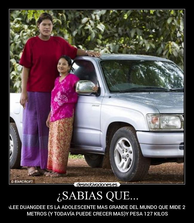 ¿SABIAS QUE... - 