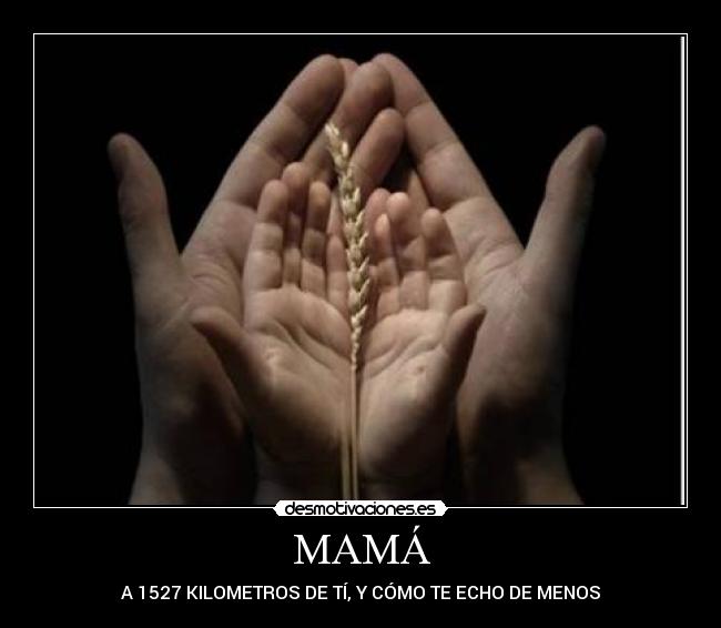 MAMÁ - 