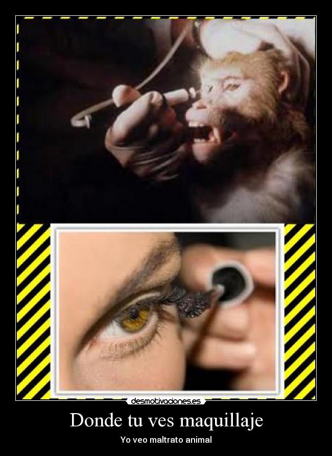 Donde tu ves maquillaje - Yo veo maltrato animal