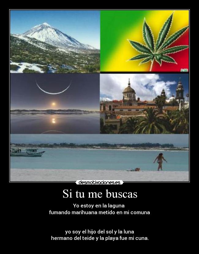 Si tu me buscas - 