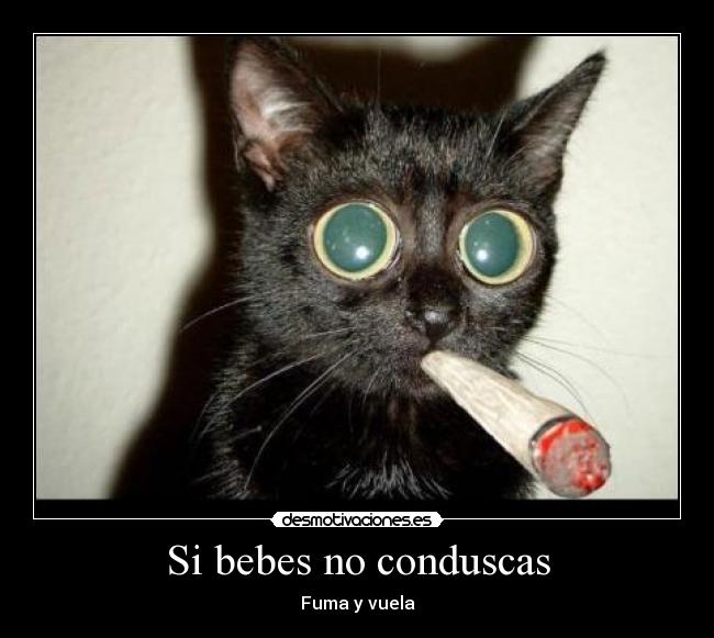 Si bebes no conduscas - 