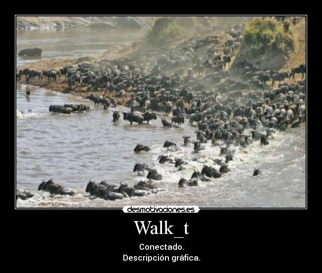 Walk_t - Conectado.
Descripción gráfica.