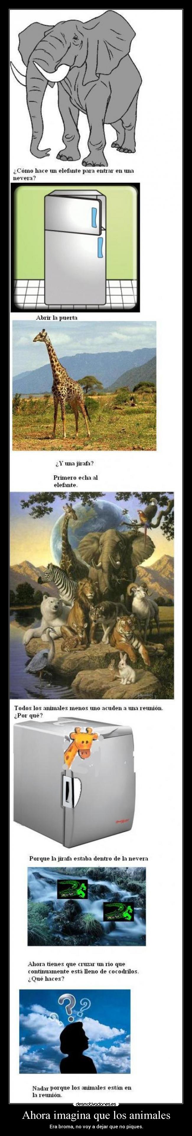 Ahora imagina que los animales - Era broma, no voy a dejar que no piques.