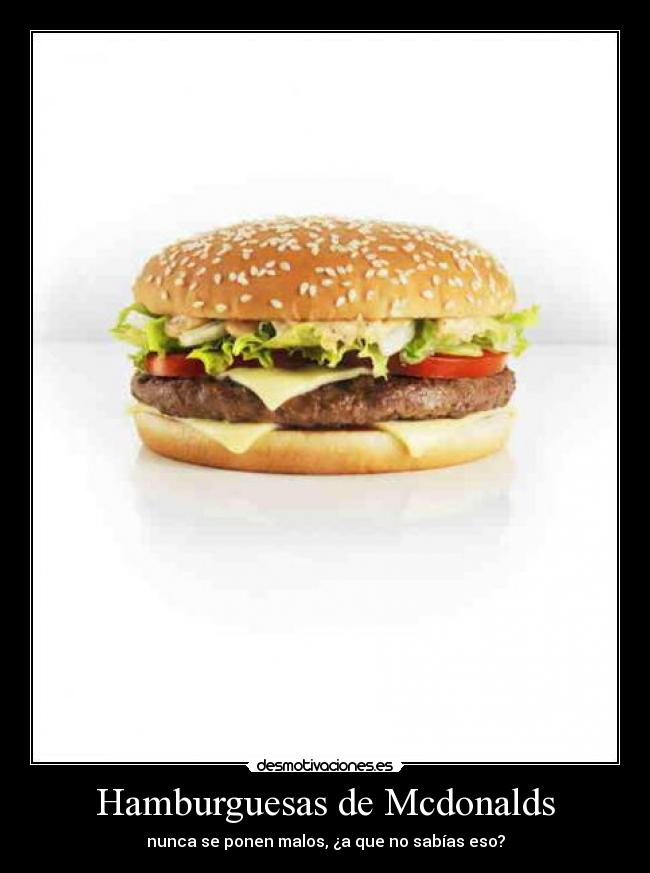 Hamburguesas de Mcdonalds - nunca se ponen malos, ¿a que no sabías eso?