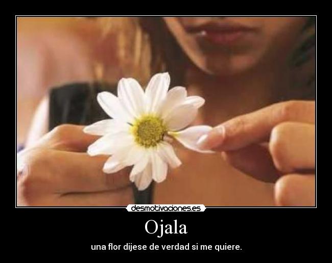 carteles desmotivaciones