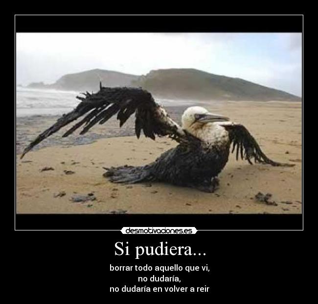 Si pudiera... -