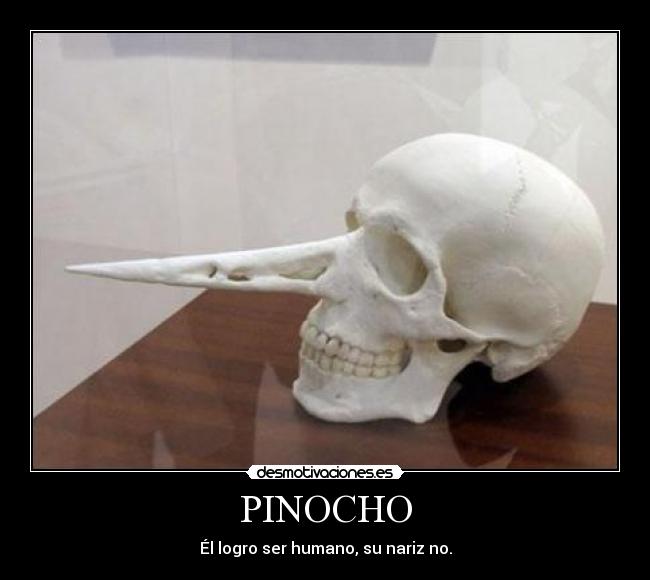 PINOCHO - Él logro ser humano, su nariz no.