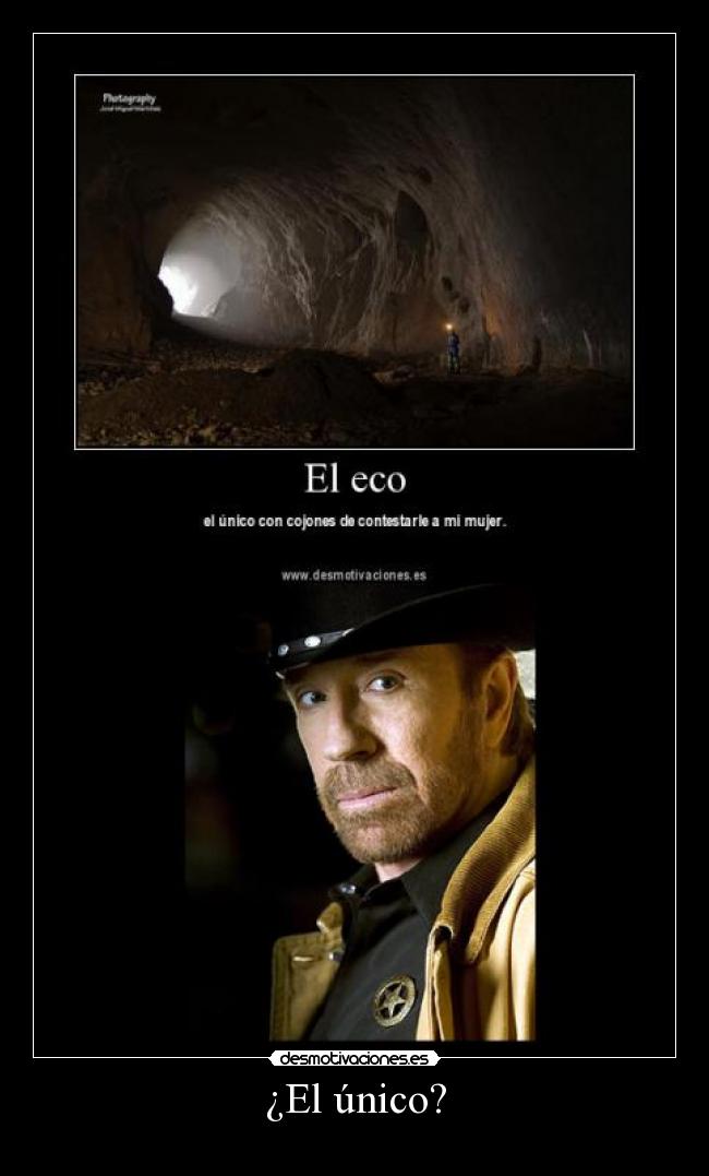 carteles chuck norris desmotivaciones