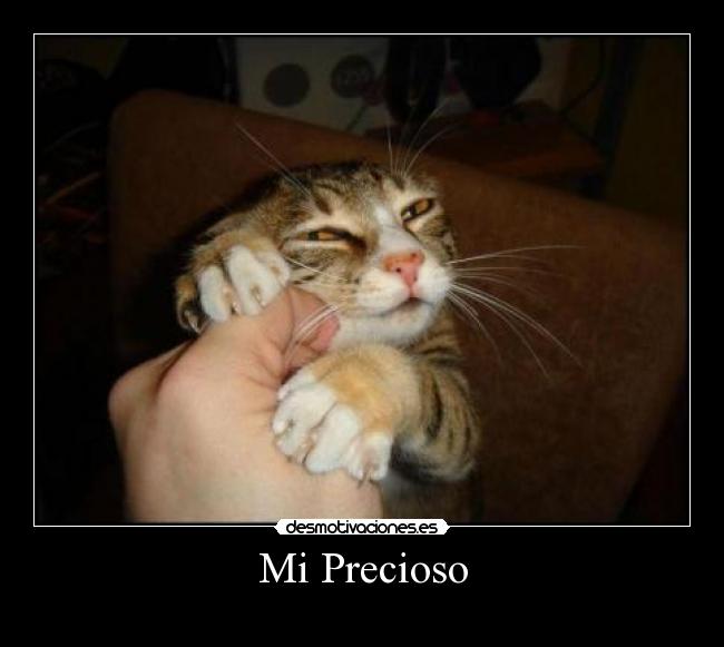 Mi Precioso -