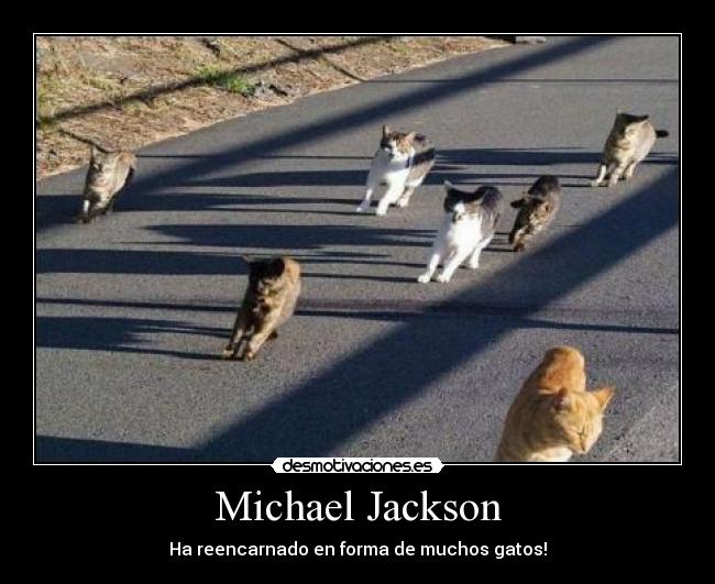 Michael Jackson - 