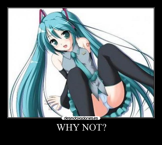 WHY NOT? -