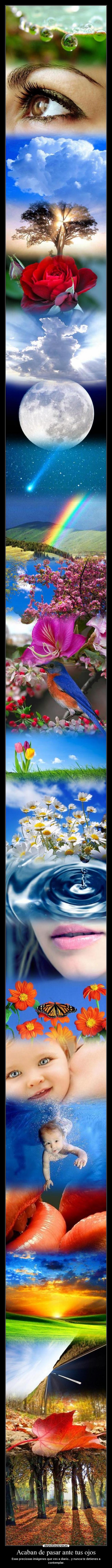 Acaban de pasar ante tus ojos - Esas preciosas imágenes que ves a diario... y nunca te detienes a contemplar.