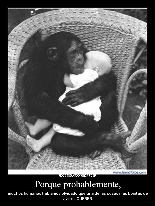 Porque probablemente, - muchos humanos habiamos olvidado que una de las cosas mas bonitas de
vivir es QUERER.