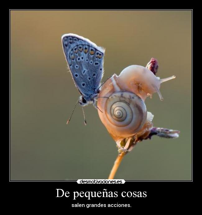 De pequeñas cosas - salen grandes acciones.