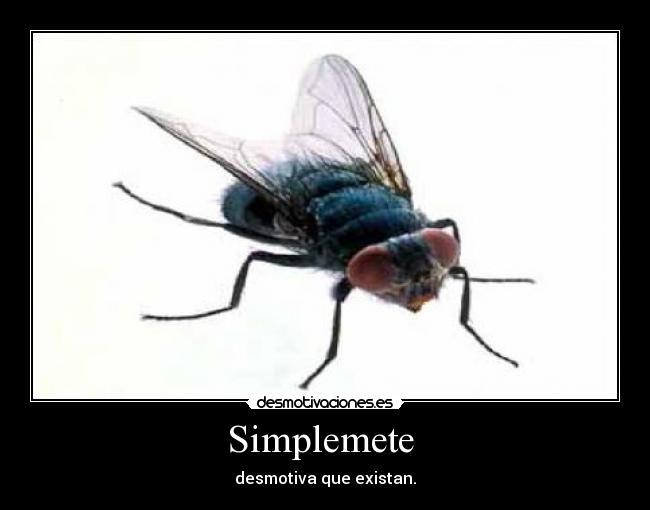 Simplemete -