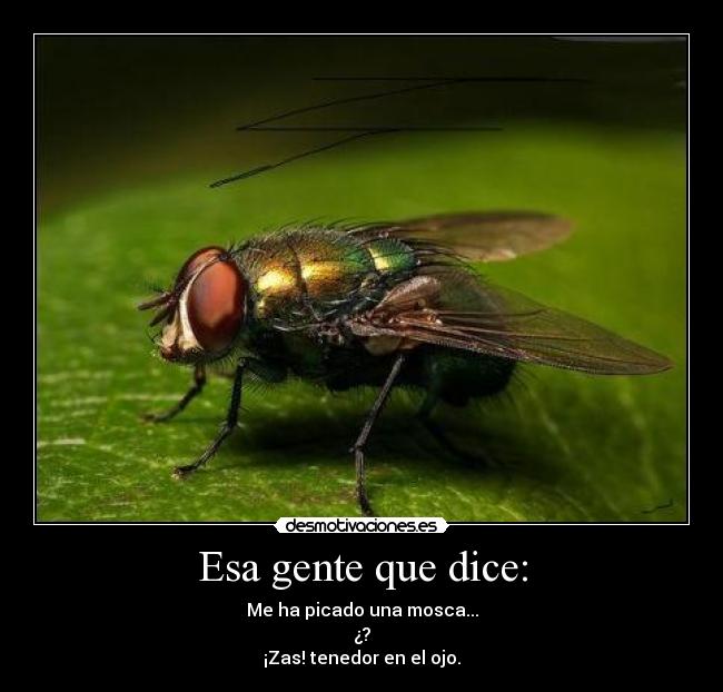 carteles ergiometal desmotivaciones