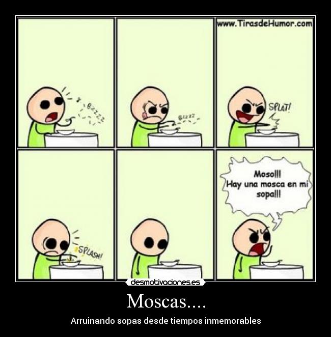 Moscas.... - Arruinando sopas desde tiempos inmemorables