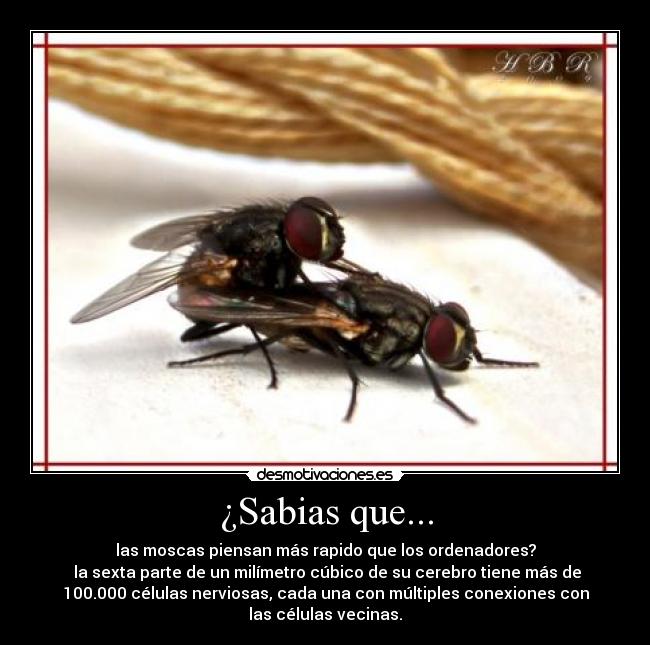 carteles sabias que desmotivaciones