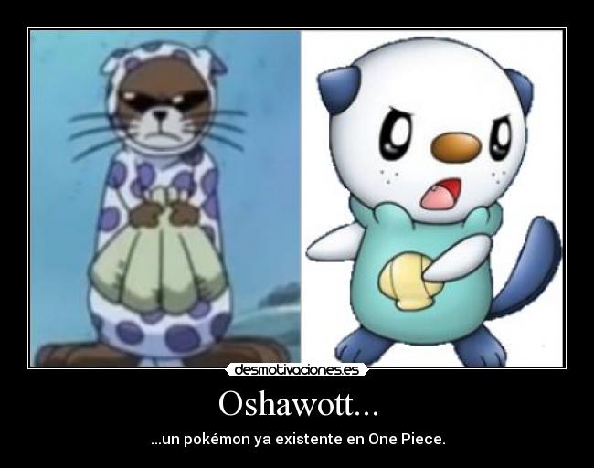 Oshawott... - ...un pokémon ya existente en One Piece.