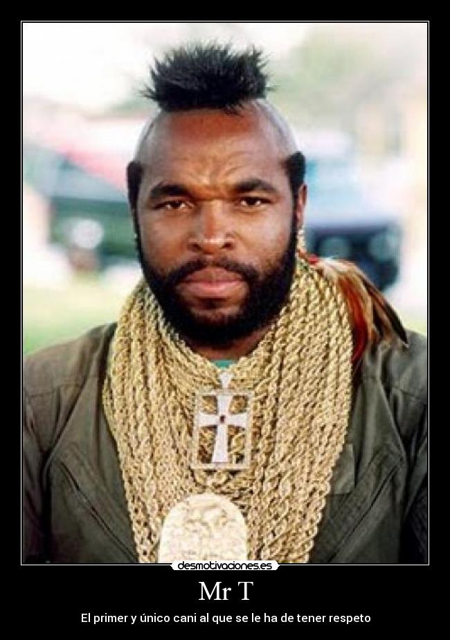 Mr T - El primer y único cani al que se le ha de tener respeto