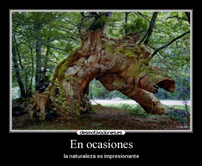 carteles otros desmotivaciones