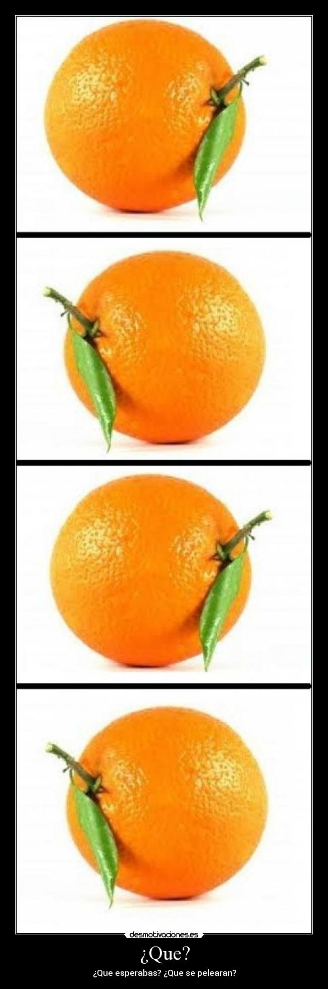 ¿Que? - ¿Que esperabas? ¿Que se pelearan?