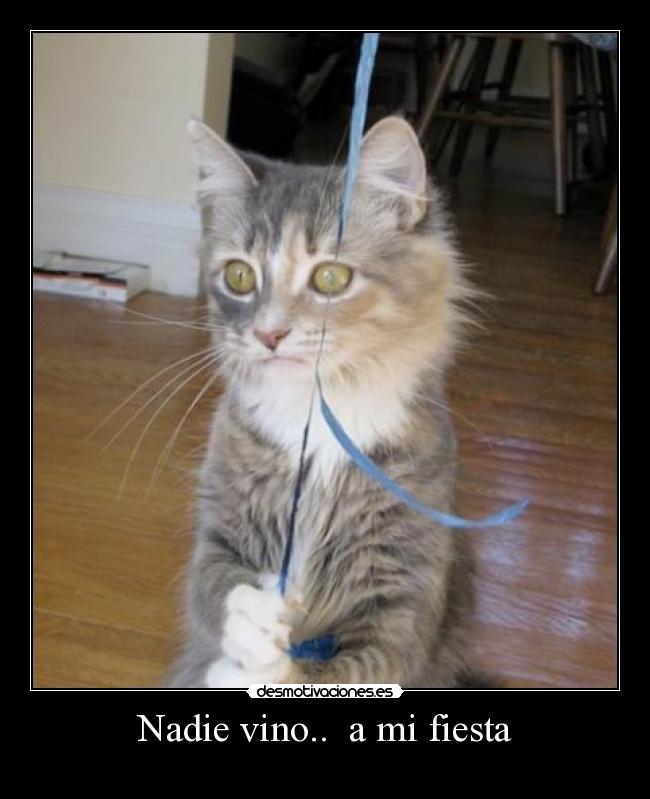Nadie vino..  a mi fiesta - 