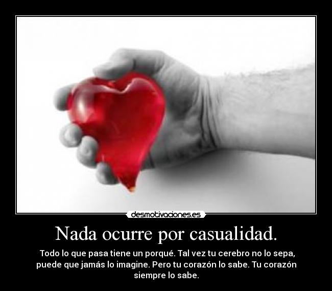 Nada ocurre por casualidad. - Todo lo que pasa tiene un porqué. Tal vez tu cerebro no lo sepa,
puede que jamás lo imagine. Pero tu corazón lo sabe. Tu corazón
siempre lo sabe.