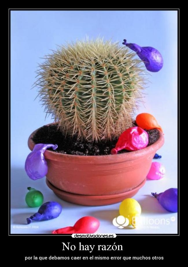 No hay razón - por la que debamos caer en el mismo error que muchos otros