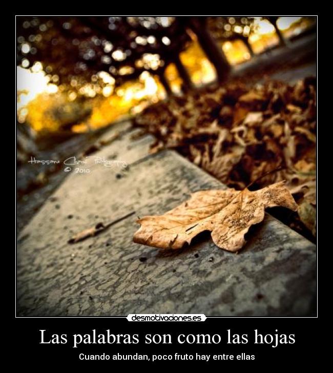 Las palabras son como las hojas -
