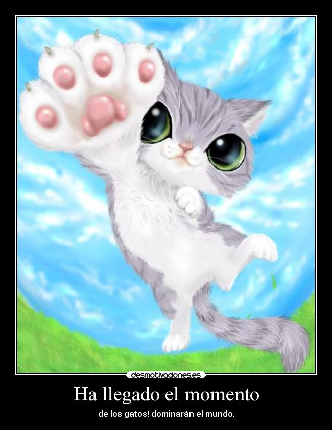 Ha llegado el momento - de los gatos! dominarán el mundo.