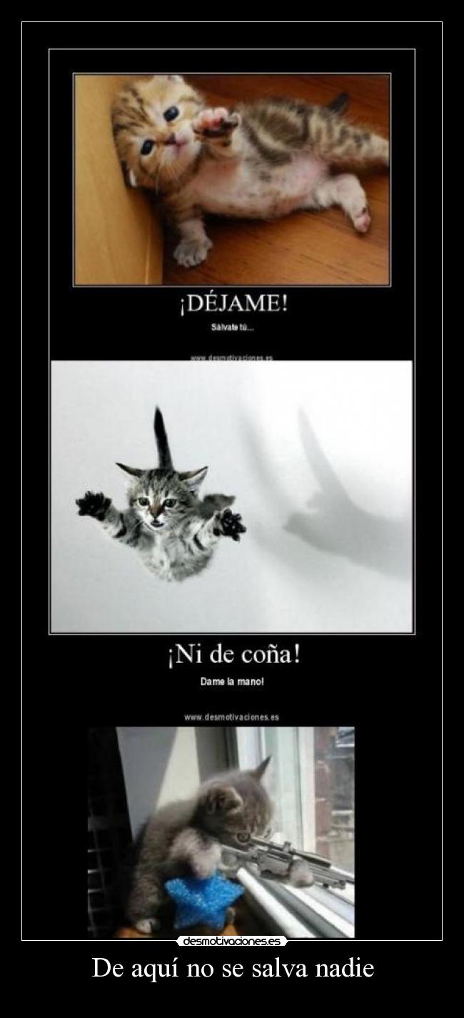 De aquí no se salva nadie - 
