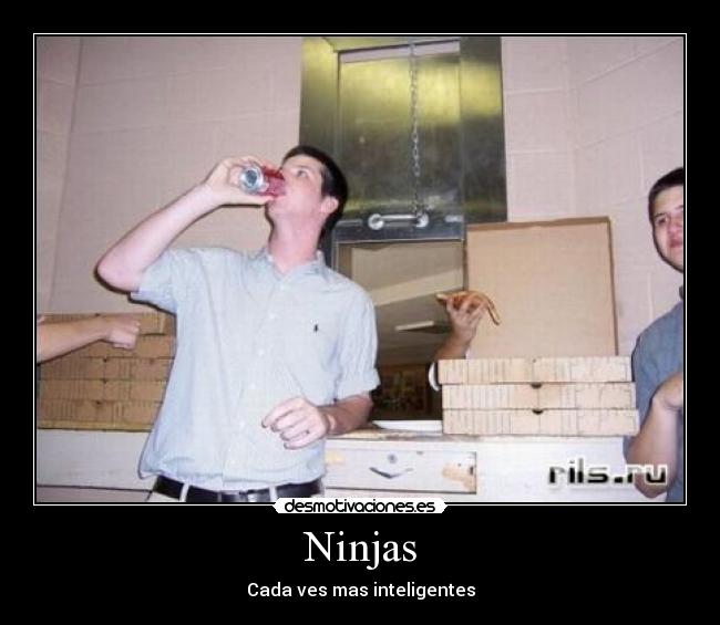 Ninjas - Cada ves mas inteligentes