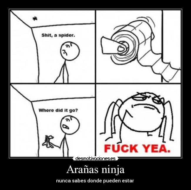 Arañas ninja -