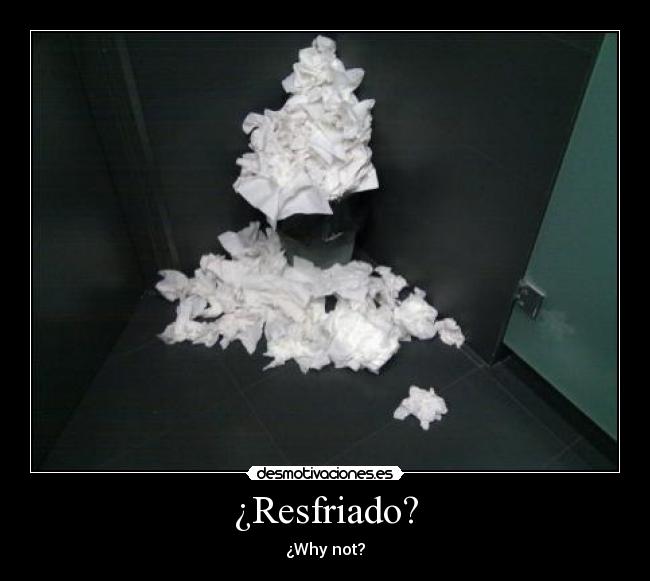 ¿Resfriado? - ¿Why not?