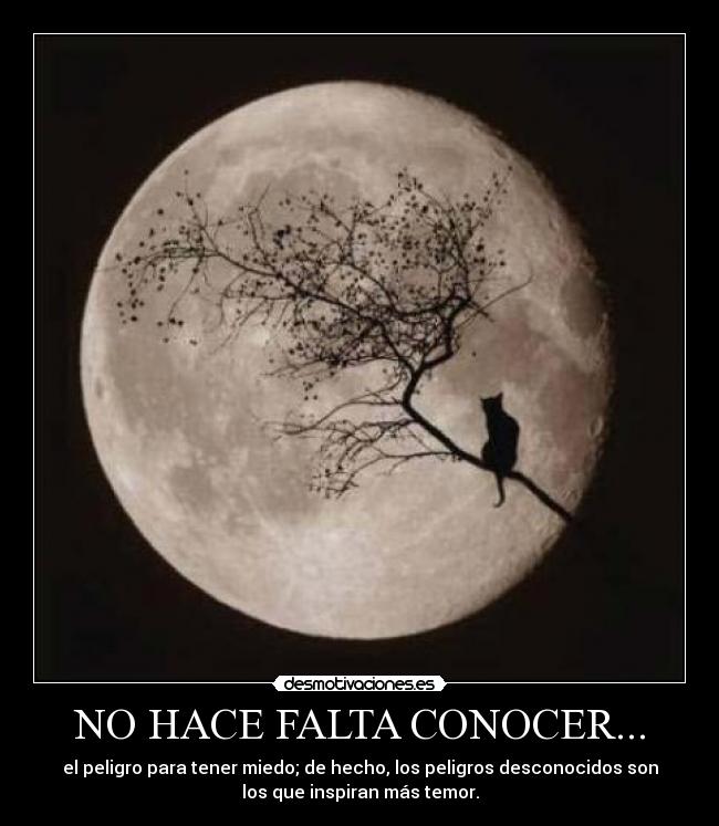 carteles luna gato desmotivaciones