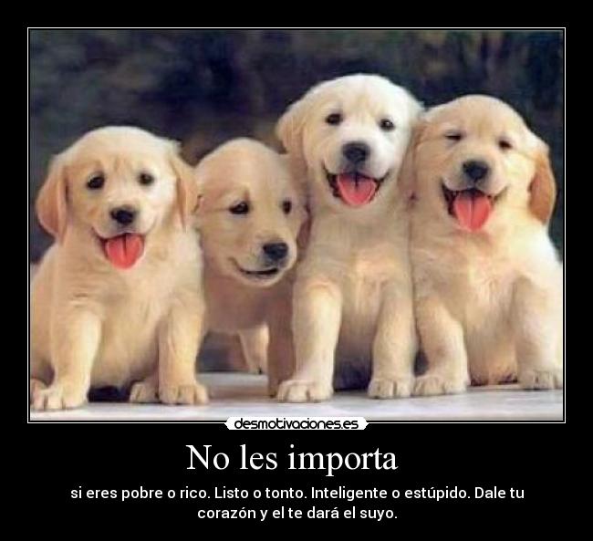 No les importa -