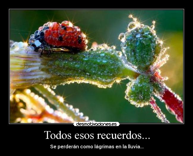 Todos esos recuerdos... - Se perderán como lágrimas en la lluvia...