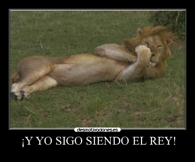 ¡Y YO SIGO SIENDO EL REY! - 