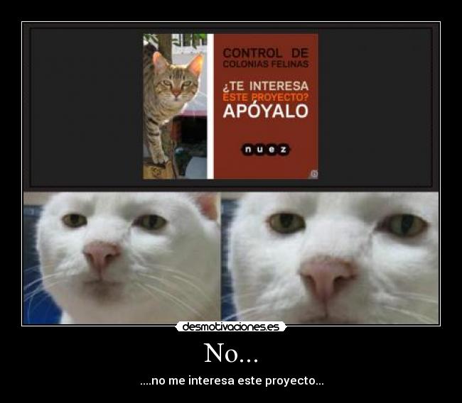 No... - ....no me interesa este proyecto...