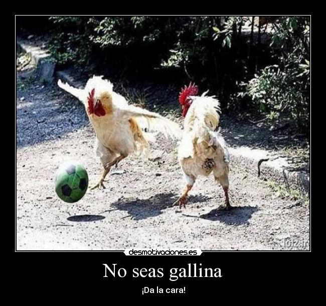 No seas gallina - ¡Da la cara!