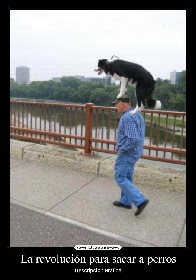 La revolución para sacar a perros - Descripción Gráfica