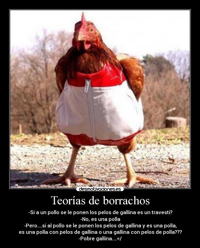 Teorías de borrachos - -Si a un pollo se le ponen los pelos de gallina es un travesti?
-No, es una polla
-Pero....si al pollo se le ponen los pelos de gallina y es una polla,
es una polla con pelos de gallina o una gallina con pelos de polla???
-Pobre gallina....=/