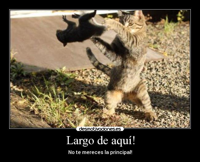 Largo de aquí! - No te mereces la principal!
