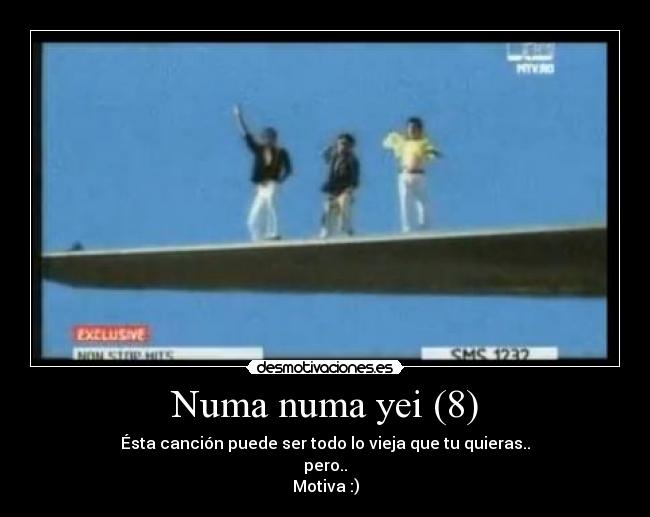 O Zone Numa Numa Yei Margaret Wiegel