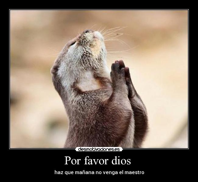Por favor dios - haz que mañana no venga el maestro
