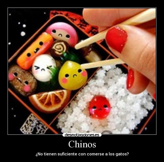 Chinos - ¿No tienen suficiente con comerse a los gatos?
