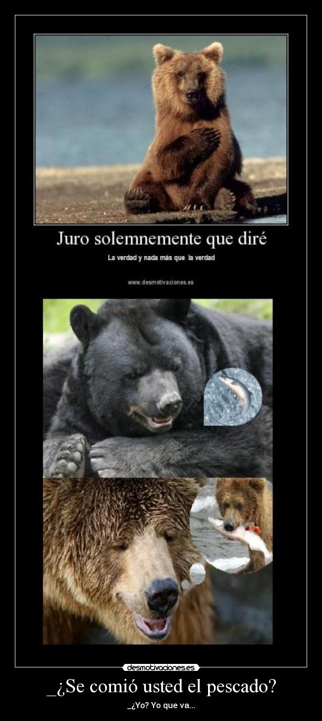 carteles oso desmotivaciones