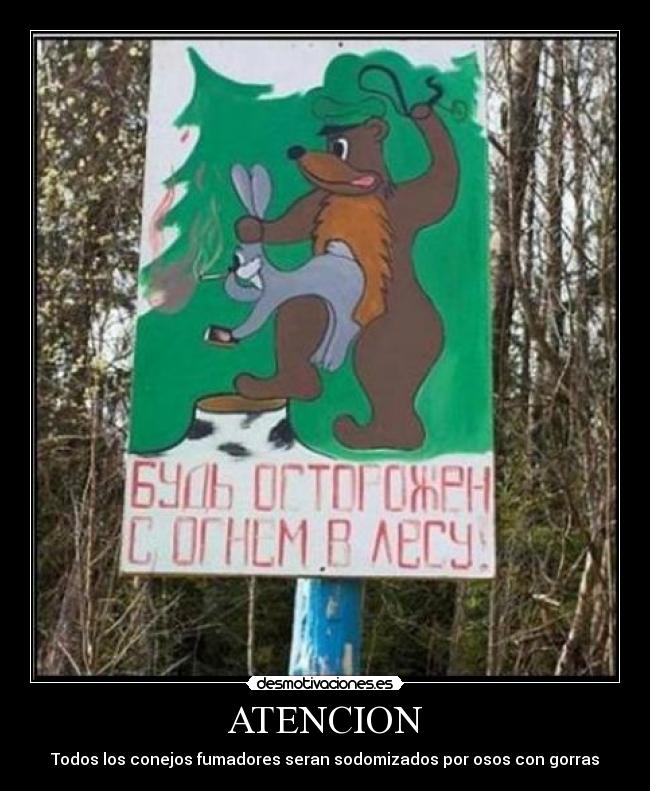 ATENCION - Todos los conejos fumadores seran sodomizados por osos con gorras